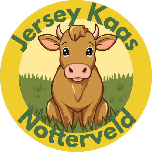 JerseyKaas-Notterveld