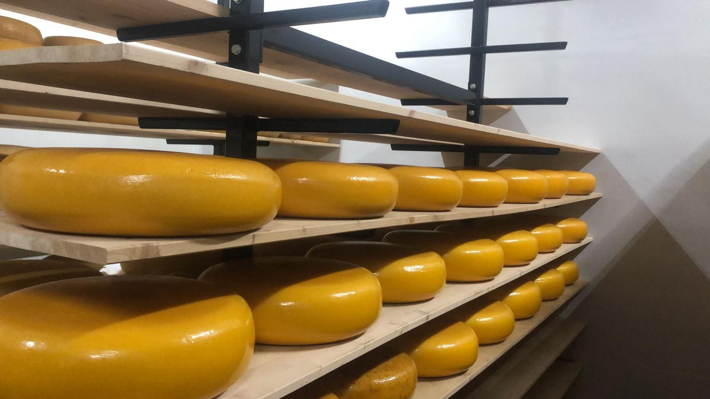 Jonge Jerseykaas - Notterveld