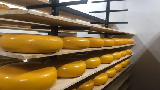 Jonge Jerseykaas - Notterveld